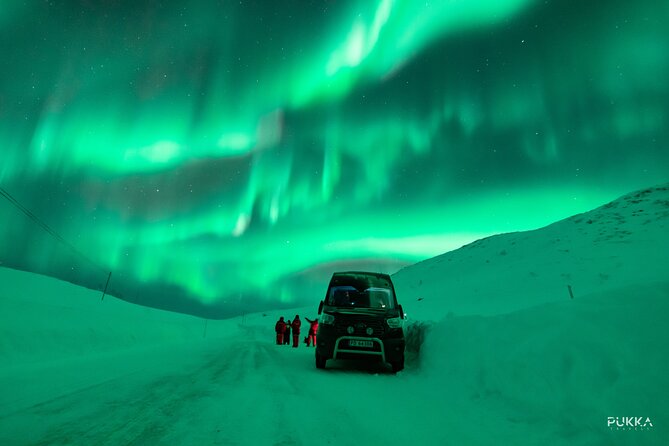 Northern Lights X Mini Bus Chase - Traveler Reviews and Ratings