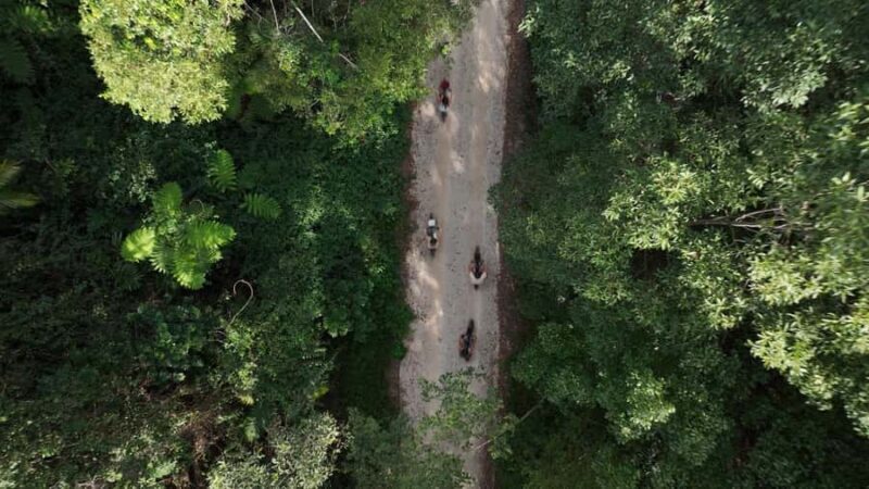 Northern Rivers Rail Trail E-Bike Hire w Shuttle from Byron - Frequently Asked Questions