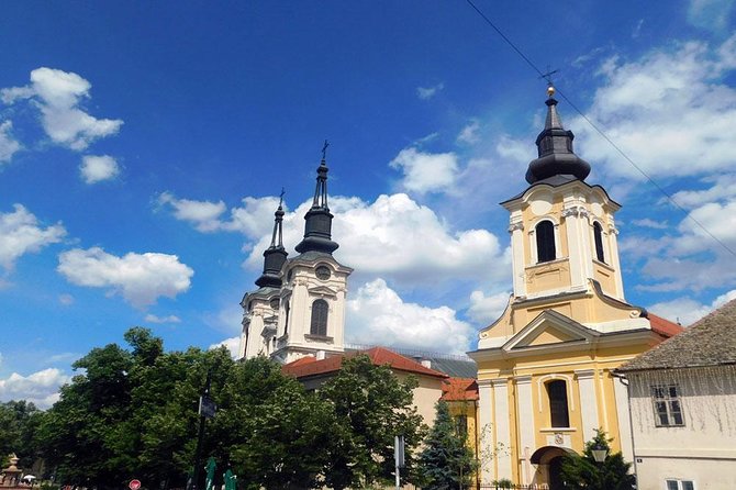 Northern Serbia: Sremski Karlovci & Novi Sad With Wine Tasting in a Cellar - Sample Menu Delights