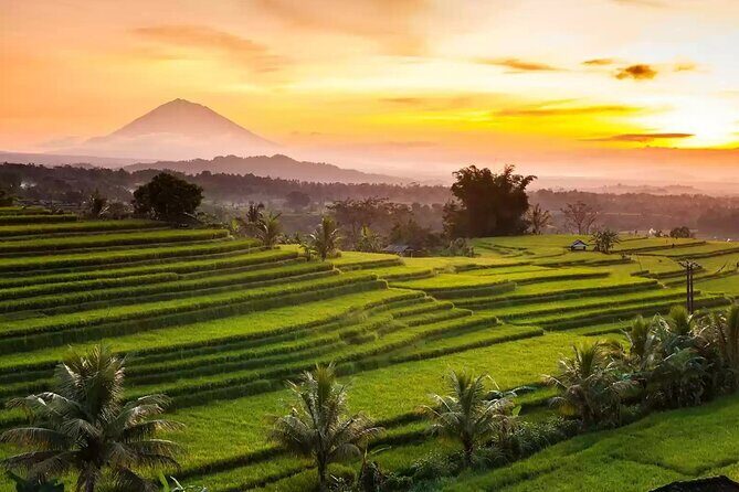 Northern Side of Bali Private Day Tour - FAQs