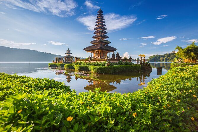 Northern Side of Bali Private Day Tour - Authentic Insights from Reviewers