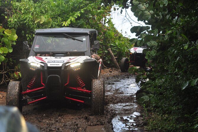Northern Sights - Buggy in the North - Good To Know