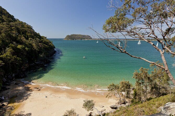 Northern Sydney Beaches and Beyond - The Experience of a Full Day in Sydney’s Outdoors