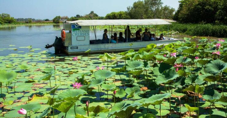 Northern Territory: Corroboree Billabong Nature Cruises - Activity Details