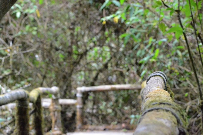 Northern Thailand 4-Day Private Tour With Chiang Mai Visit - Common Questions