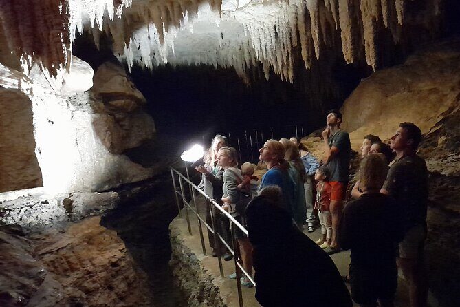 Northland Hidden Gems Glowworm Cave, Beach and Café Experience - What Makes This Tour Stand Out?