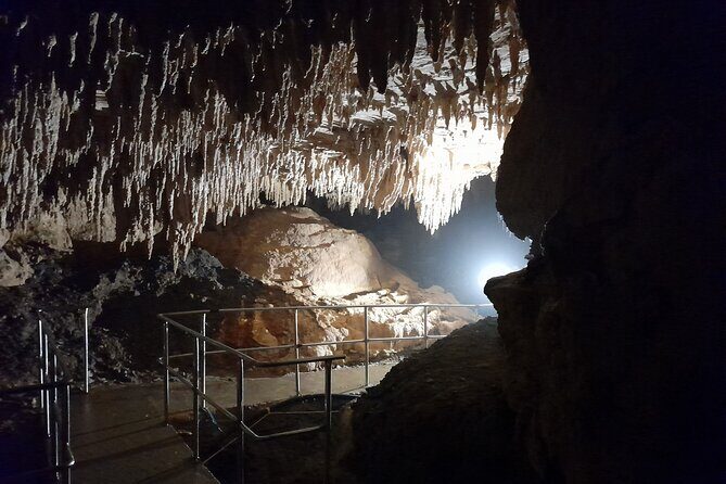 Northland Hidden Gems Glowworm Cave, Beach and Café Experience - Is It Worth the Price?