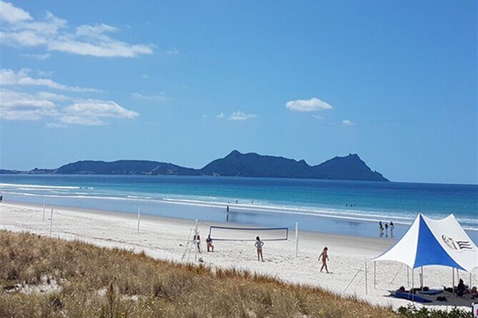 Northland Hidden Gems Glowworm Cave, Beach and Café Experience - Who Would Enjoy This Tour?