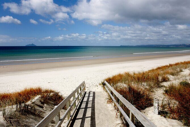 Northland Hidden Gems Glowworm Cave, Beach and Café Experience - Final Thoughts