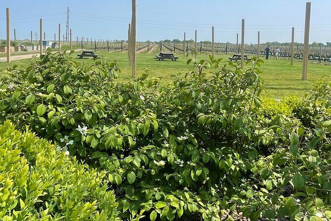 Northport Food and Cultural Tour - FAQ