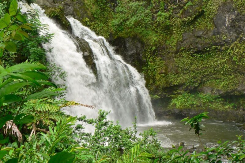 Northshore Maui: Guided Rainforest and Waterfall Walk - Good To Know