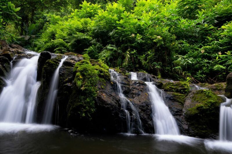 Northshore Maui: Guided Rainforest and Waterfall Walk - Duration and Practical Considerations