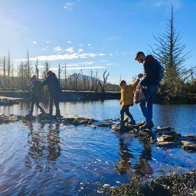 Northwest Donegal: Private Active Eco Tour - The Value of the Experience