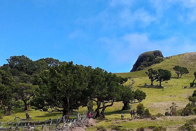 Northwest Madeira 4WD Adventure  - Funchal - Common Questions