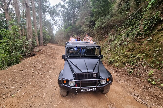 Northwest Madeira Full-Day 4WD Tour From Funchal - Traveler Photos