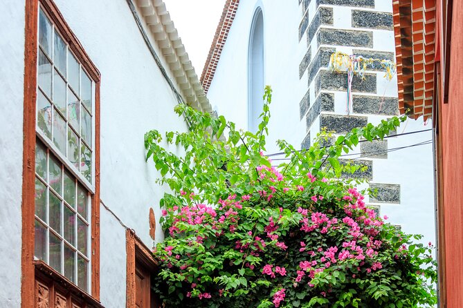 Northwest Tenerife Highlights Tour - Cancellation Policy