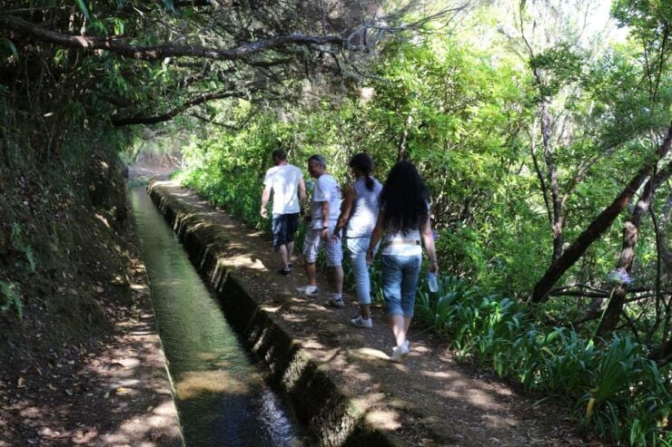 Northwestern Madeira: Full–Day 4x4 Tour - Tour Details and Availability