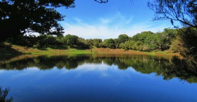 Northwestern Madeira: Full–Day 4x4 Tour - Review Summary