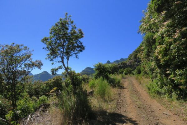 Northwestern Madeira: Full–Day 4x4 Tour - Common Questions