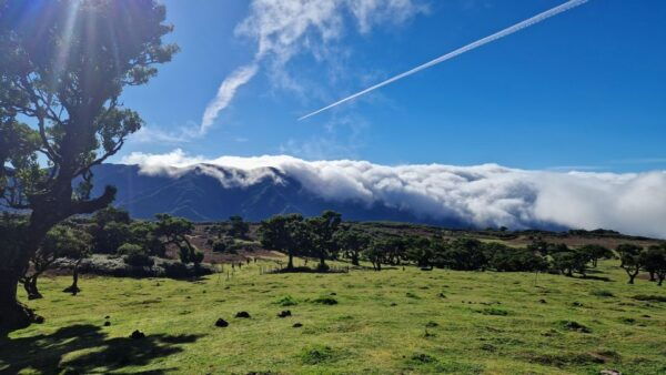 Northwests 50 Shades of Green, Rock Pools & Waterfalls Tour - Directions