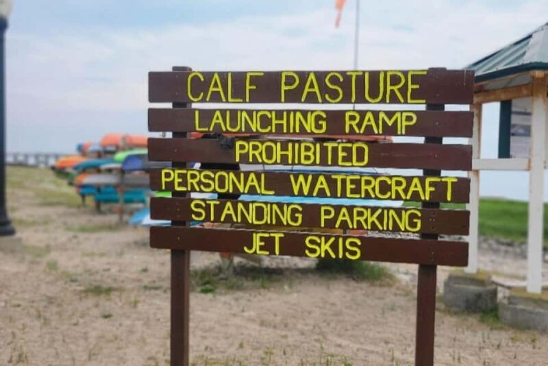 Norwalk: Paddleboard Rental at Calf Pasture Beach - Good To Know