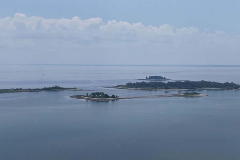 Norwalk: Paddleboard Rental at Calf Pasture Beach - Final Thoughts