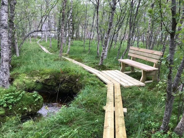 Norway: Experience Nature Through Sámi Eyes - Good To Know