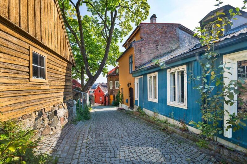 Norwegian Food Tour & Hidden Gems of Oslo - Norwegian Food Tour & Hidden Gems of Oslo: An Authentic Slice of Norwegian Life