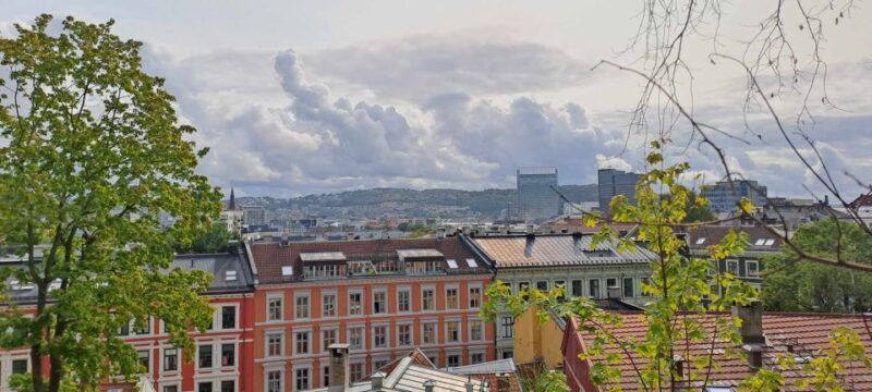 Norwegian Food Tour & Hidden Gems of Oslo - Good To Know