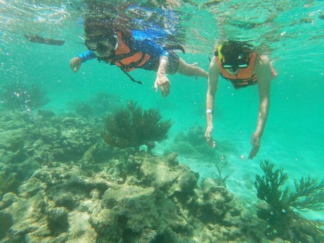 Not to Be Missed Tour; Snorkeling, Turtles and Photos. - What to Bring and Restrictions