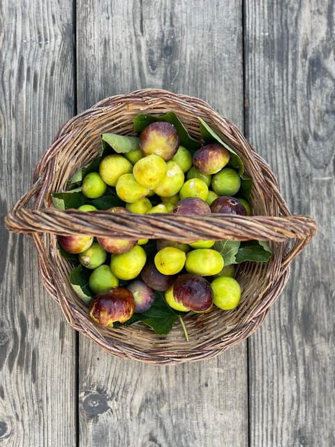 Noto: Farm to Fork in Sicily - Cooking Class in a Farm - Final Thoughts