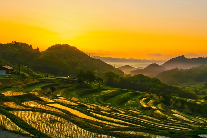 Noto Full Day Driving Tour (Private Car) - Tour Overview and Itinerary