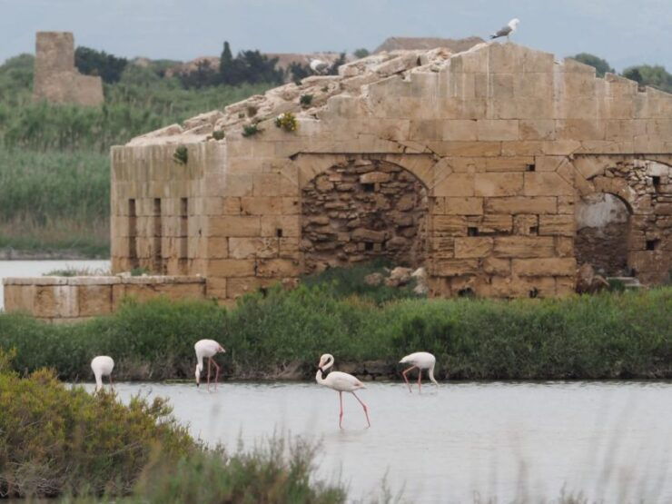 Noto: Guided Trekking and Birdwatching at Vendicari Reserve - Pricing and Duration