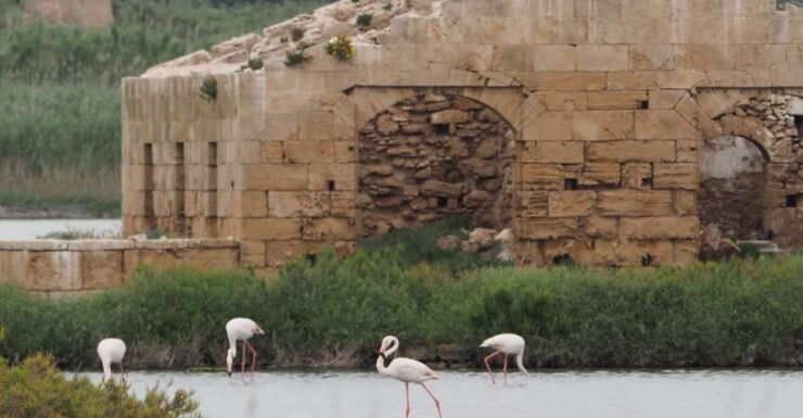 Noto: Guided Trekking and Birdwatching at Vendicari Reserve - Tour Guide and Cancellation Policy