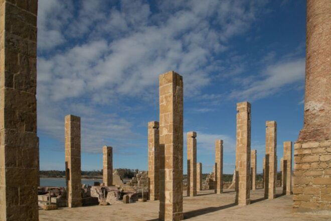 Noto: Guided Trekking and Birdwatching at Vendicari Reserve - Activity Highlights