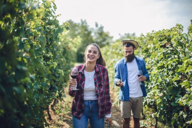 Noto: Noto Valley Winery Tour With Wine Tasting - Customer Reviews