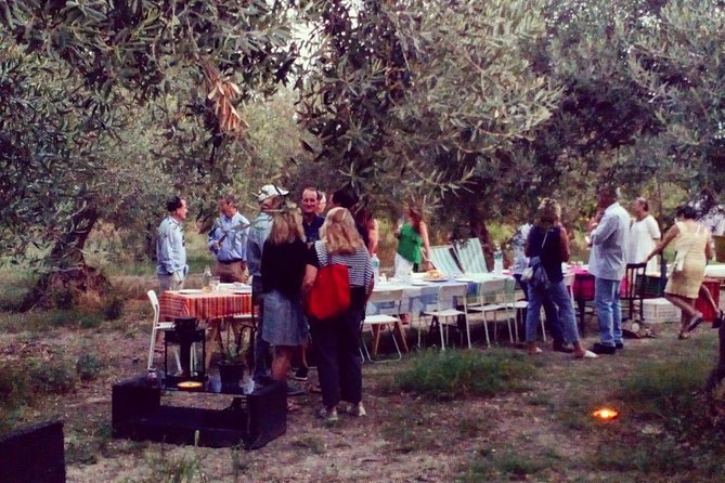 Noto Organic Farm Tour and Lunch or Dinner  - Sicily - Farms History and Production