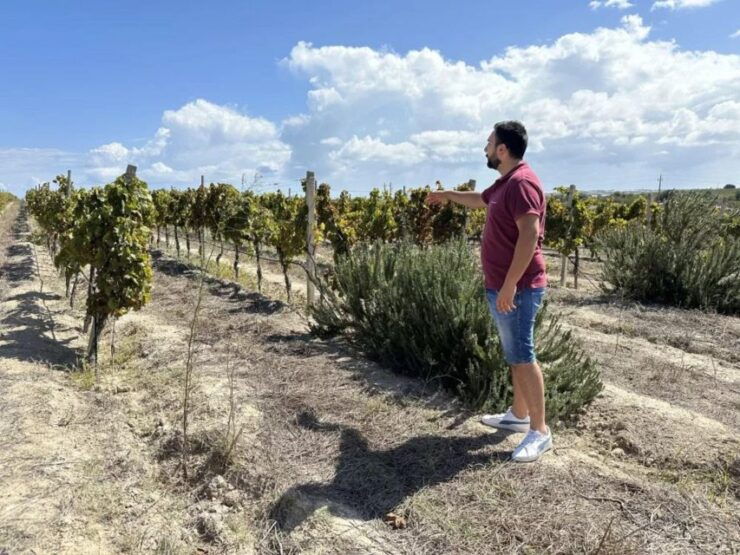 Noto: Wine Tasting and Estate Tour With Local Products - Activity Details