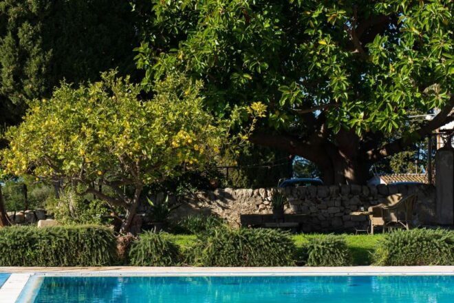 Noto: Wine Tasting and Estate Tour With Local Products - Experience Description