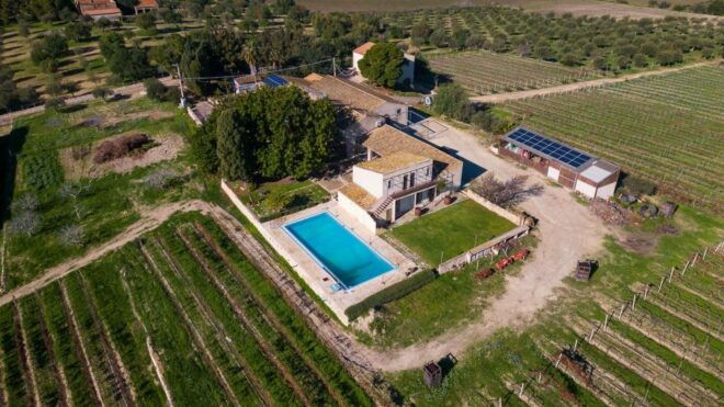 Noto: Wine Tasting and Estate Tour With Local Products - The Sum Up