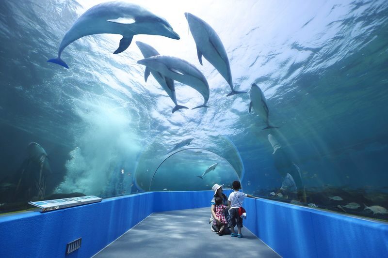 Notojima Aquarium - Notojima Aquarium at a glance