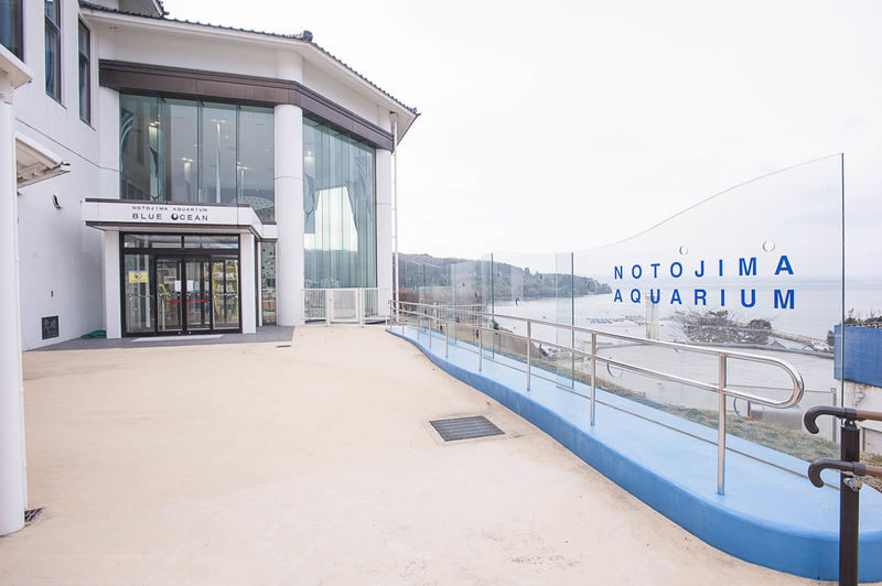 Notojima Aquarium - Start with the aquarium’s close-up encounters