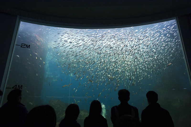 Notojima Aquarium - Give yourself time to explore at your own pace