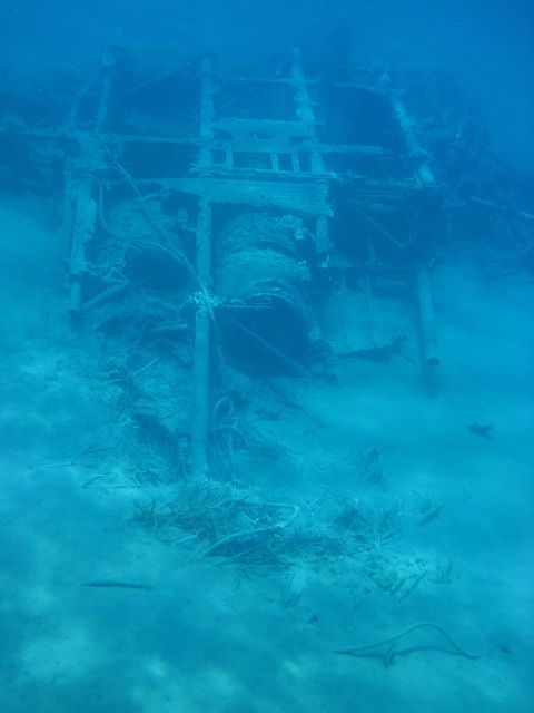 Notos Half-Day Cruise - Additional Information