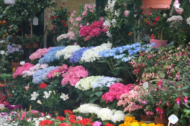 Notre-Dame and Île De La Cité Guided Tour - Key Points