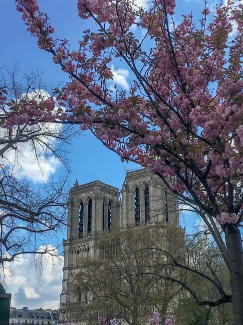 Notre Dame Ile De La Cité Walking Tour & Seine River Cruise - Practical Details and Tips