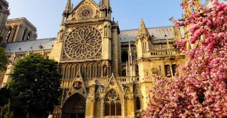 Notre Dame: Private Guided Visit - Experience Highlights