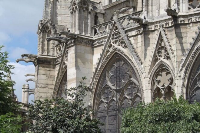 Notre Dame: Private Guided Visit - Accessibility and Language Options