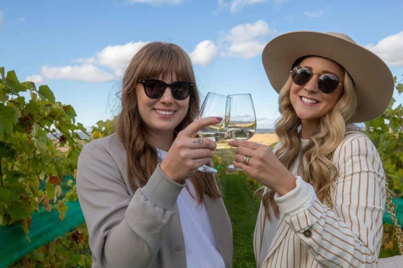 Nova Scotia Annapolis Valley Wine Tour Lead by a Sommelier - Why This Tour is a Great Choice