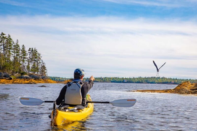 Nova Scotia: Guided Half-Day LaHave Islands Sea Kayak Tour - Good To Know